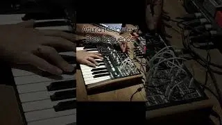 Arturia Minibrute 2 Bass Sequence