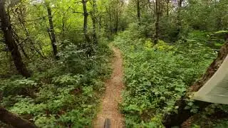 NOT A ROCK GARDEN | The Pines   | MTB