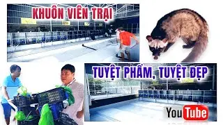 Khuôn viên trại Chồn hương đẹp tuyệt phẩm của anh trai Hà Tiên - Xứng đáng để mọi người học hỏi(P25)
