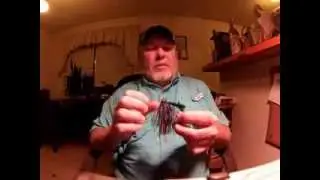 Texas Bayou Bug