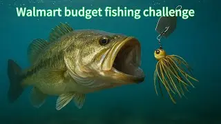 Walmart budget fishing challenge! #viral #bassfishing #fishing #topwater @LargemouthLegends286 