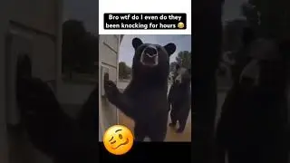 They Rang The DoorBell 🫣🤣