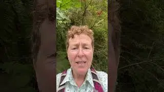 Plants Of Patagonia (Chile)