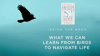 {FREEDOM SEEKER} INSIDE THE BOOK  WHAT WE CAN LEARN FROM BIRDS TO NAVIGATE LIFE
