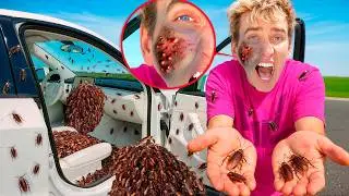 There's a Massive INFESTATION In My Car!