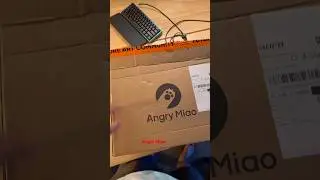 #angrymiao #gaming #keybord#blackmuth#wukong