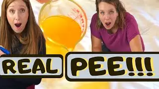 Incontinence Pad Tested With 12 Cups of REAL Pee!!!