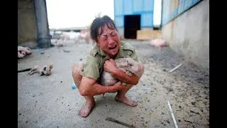 Typhoon Doksuri: The Aftermath in Beijing, China