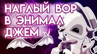 НАГЛЫЙ ВОР КОТОРЫЙ ОБОКРАЛ МНОГИХ | ЭНИМАЛ ДЖЕМ | ANIMAL JAM | Шилки Aj