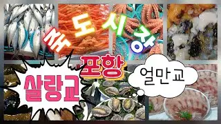 얼만교?살랑교?싱싱한해산물죽도시장