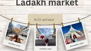 Beautiful Leh market/scam by friend💔\exploringphase/last day of our trip#daily vlog