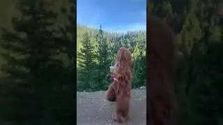 Monkey girl 😂🤣 viral funny video 😂#mostfunnyvideo #viralvideo #monkeygirl