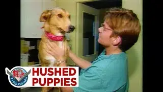 Ottawa tries to muzzle 