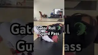 Gator Roll 🐊 Guard Pass