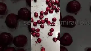 Perfectly pitted cherries in seconds: watch this cherry deboning machine in action! #machine