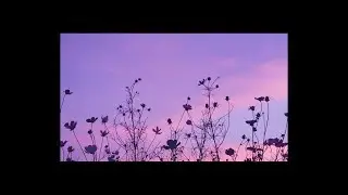 [FREE FOR PROFIT] SAD x Juice WRLD x XXXTENTACION Type Beat - 