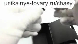 Chasy