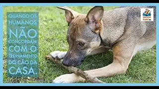 Quando os humanos não concordam com o treinamento do cão da casa.