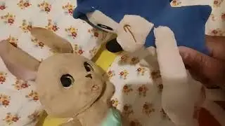 Baby Kangaroo's video disaster part 2