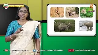 KITE VICTERS Plus Two Botany Class 45 (First Bell-ഫസ്റ്റ് ബെല്‍)