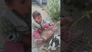 Ananya playing with Rabbit 🐇 and feed him !!@@!!