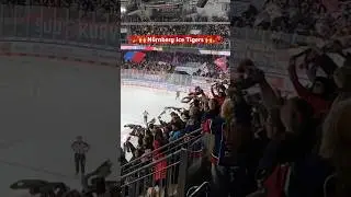 Super Stimmung bei den N&uuml;rnberg Ice Tigers | DEL Playoffs 2025 #pennydel #icetigers #magentasport