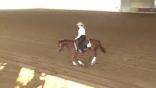 170820 Carly Bowman on Whizzin On A Star Rookie