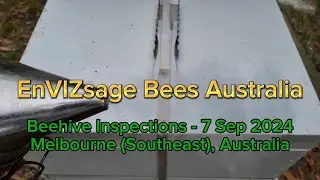 2024 Sep 07 Beehive Inspections (Early Spring, Melbourne)