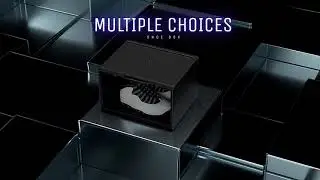 Sneaker Box Led Voice Control