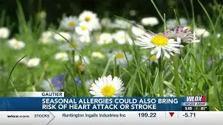 Coast doctor warns of increased heart attack, stroke risks as allergy season kicks in