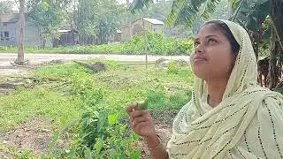 Village life #Am_vorta#bangladesh #assamese #villagelife #assam #villagelife