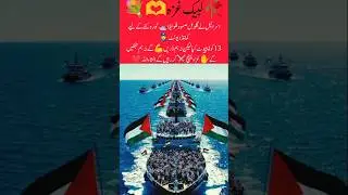 🚢 Flotilla of Steadfastness &ndash; Gaza&rsquo;s Unbreakable Spirit 🇵🇸✨