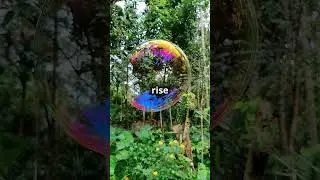 The Science of Bubbles: Why They Float!