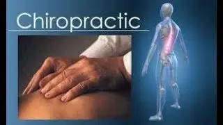Best Chiropractor Saint Paul, MN | Best Chiropractors in Saint Paul, MN