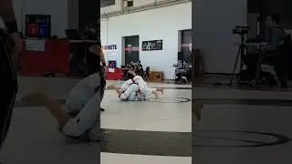 bjj 2019