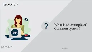 What is an example of Common system?