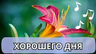 Хорошего дня - песня-пожелание, пусть ваш день будет прекрасным сегодня, завтра и всегда!