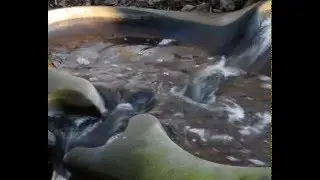 Ytterjärna Antroposofi