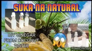PAANO GUMAWA NG SUKA GAMIT ANG TUBIG NG NIYOG(DIY VINEGAR)