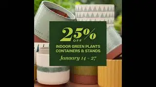 Bachmans.com | Green Plants Sale