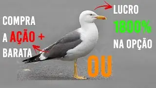 ESTRATÉGIA DA GAIVOTA (SEAGULL): COMO GANHAR SE SUBIR E COMPRAR BARATO SE CAIR |TRAVA DE ALTA 0 COST