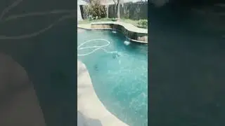 Backyard tour