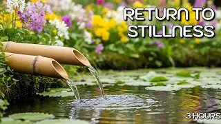 🕊️ Return to Stillness | Zen Healing Music for Deep Meditation (3 Hours)