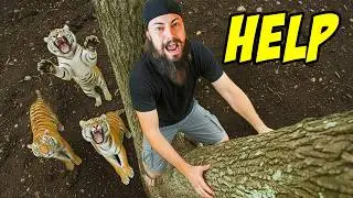 Scariest Animal VS Human Moments