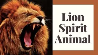 Lion Spirit Animal Guide