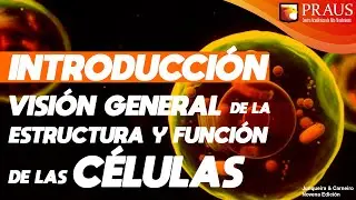 Visi&oacute;n General de las C&eacute;lulas (Introducci&oacute;n)