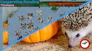 Co-Op Timelapse: Hedgehog Jigsaw Puzzle (Jigsaw Explorer)