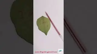 Cute Leaf Memo Pad Sticky Note