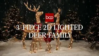 Best Choice 3-Piece Lighted 2D Deer Family: Making the Holidays Bright