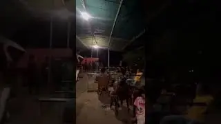 #acaraadat
